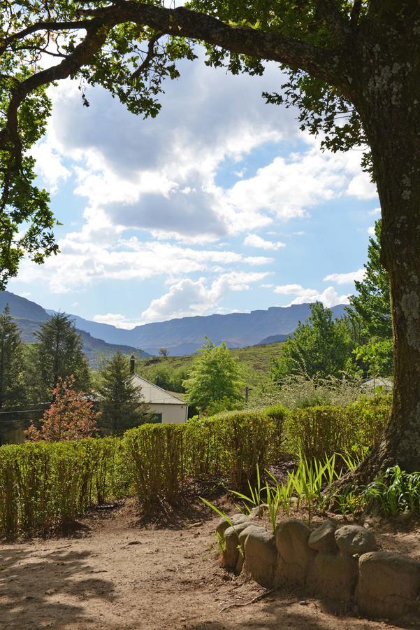 Mkomazana Mountain Cottages Himeville Kültér fotó