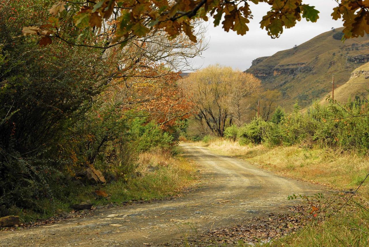 Mkomazana Mountain Cottages Himeville Kültér fotó